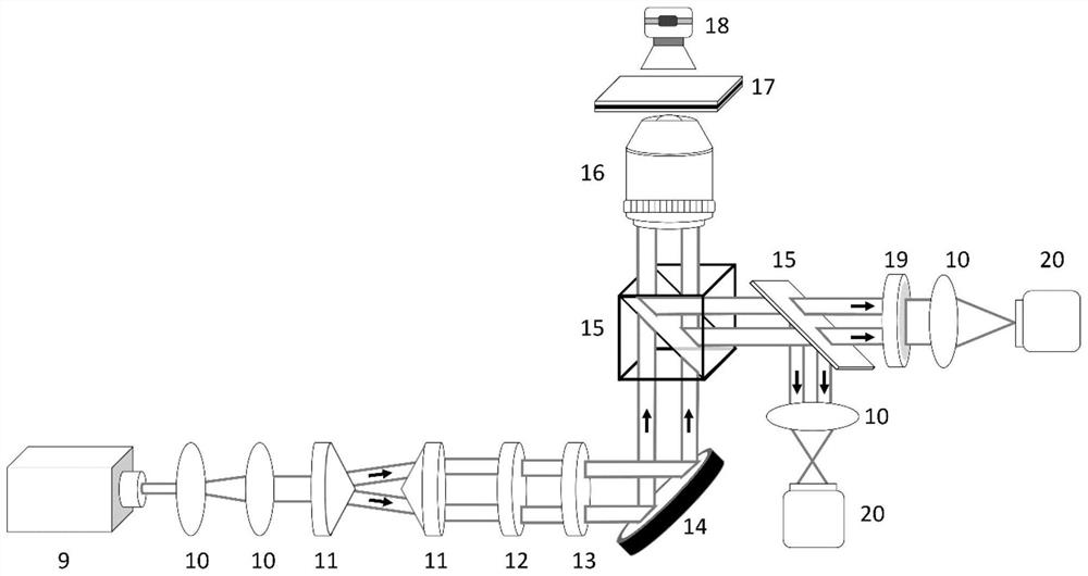 Cell control device based on multilayer dielectric film