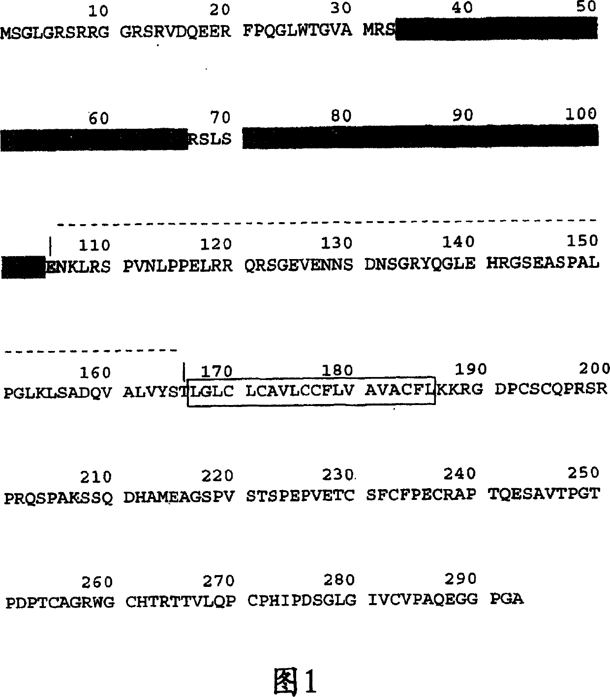 TACI-immunoglobulin fusion proteins