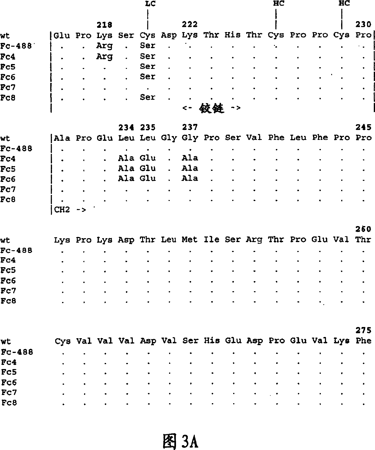 TACI-immunoglobulin fusion proteins