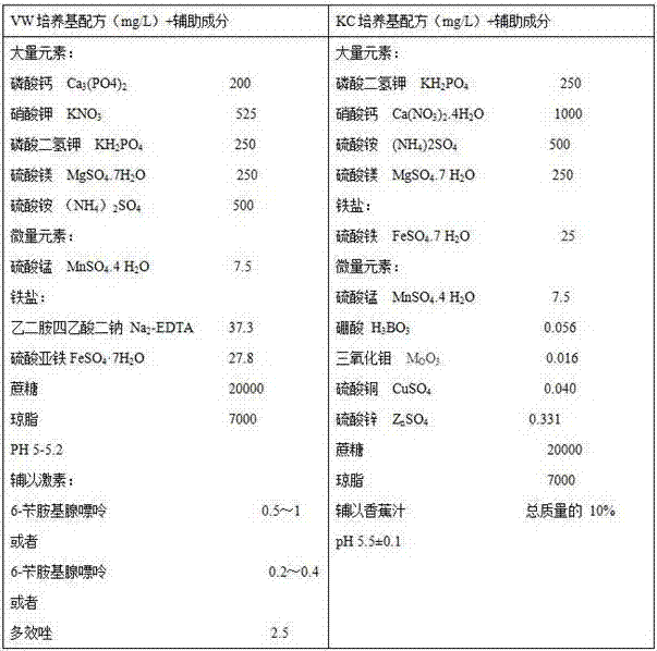 Method for preserving germplasm resource of Chinese cymbidium in vitro and restoring growth after preservation