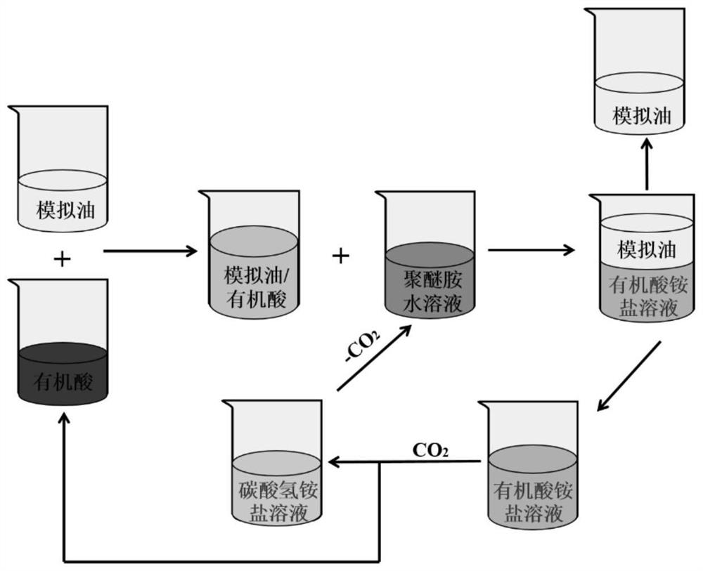 co2/n2 switch-type double-circulation extraction process and its application