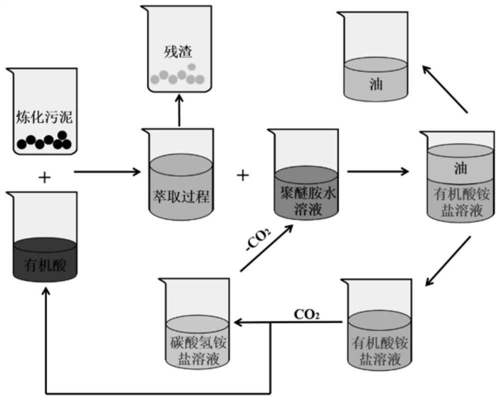 co2/n2 switch-type double-circulation extraction process and its application