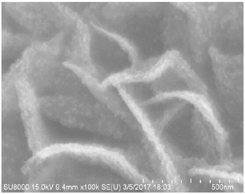 Preparation method and application of carbon nanofiber, tin disulfide, tin dioxide and sulfur composite material with heterojunction structure