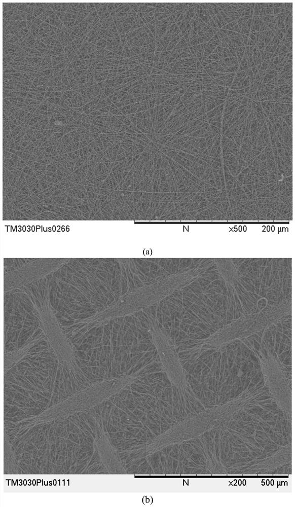 An in vitro intestinal model based on primary intestinal cells and its construction method and application