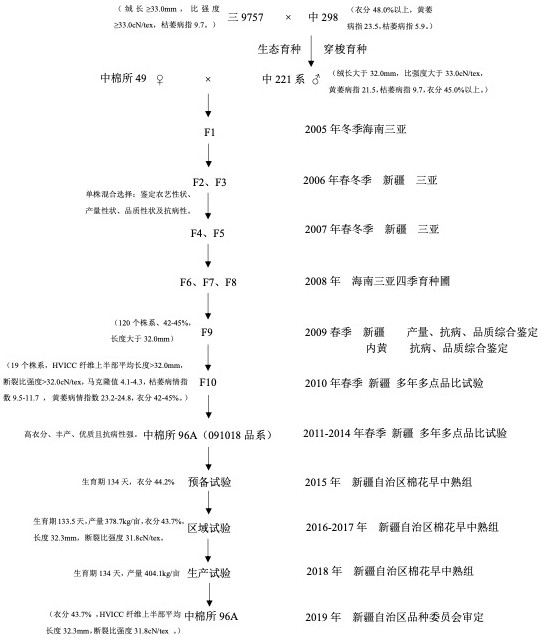 Breeding method of high-lint-percent and high-quality machine-harvested cotton variety Zhongmiansuo 96A