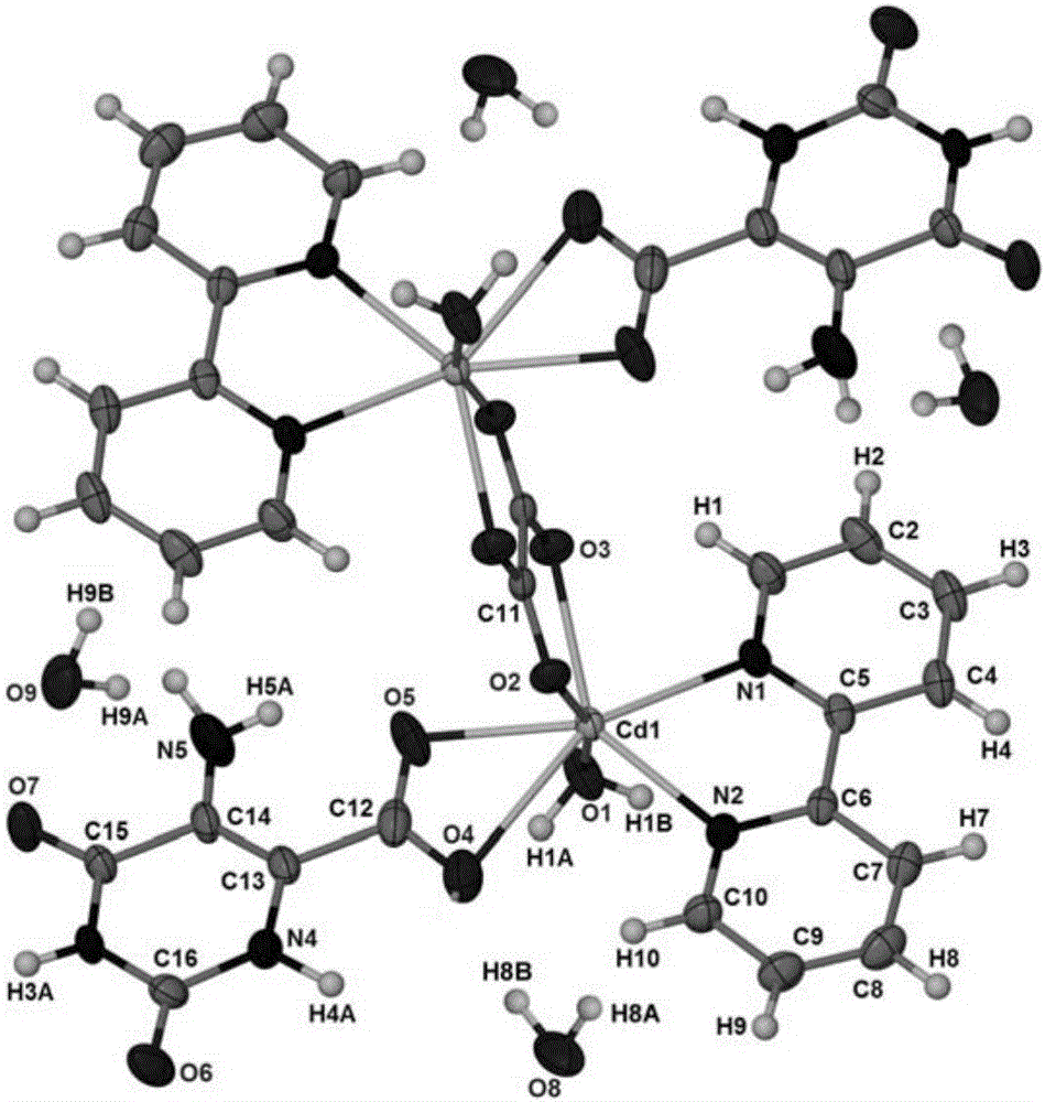5-aminoorotic acid dinuclear cadmium complex