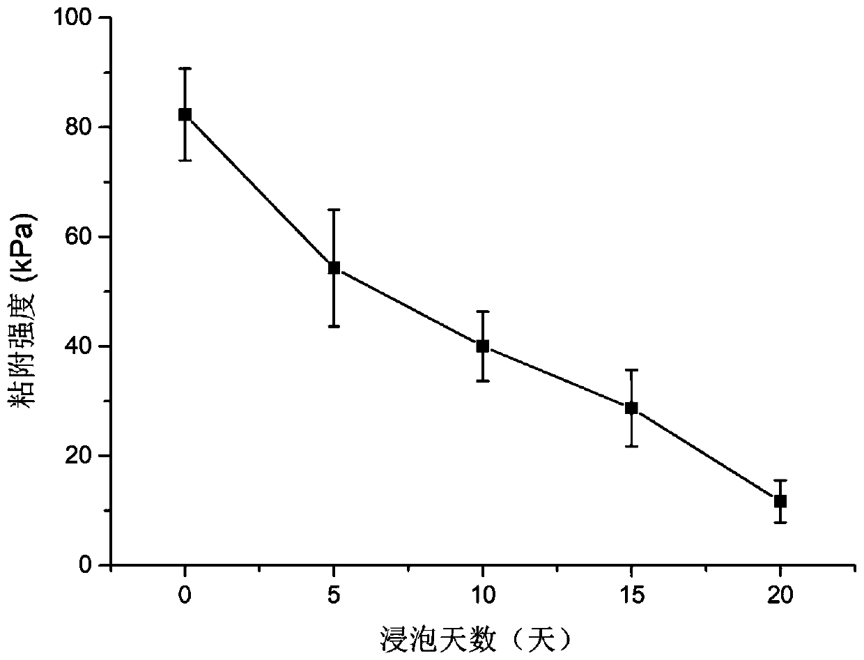 High cohesion double crosslinking artificial glass body and preparation method thereof