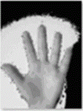 Hand gesture segmentation method based on monocular vision complicated background