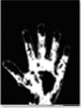 Hand gesture segmentation method based on monocular vision complicated background