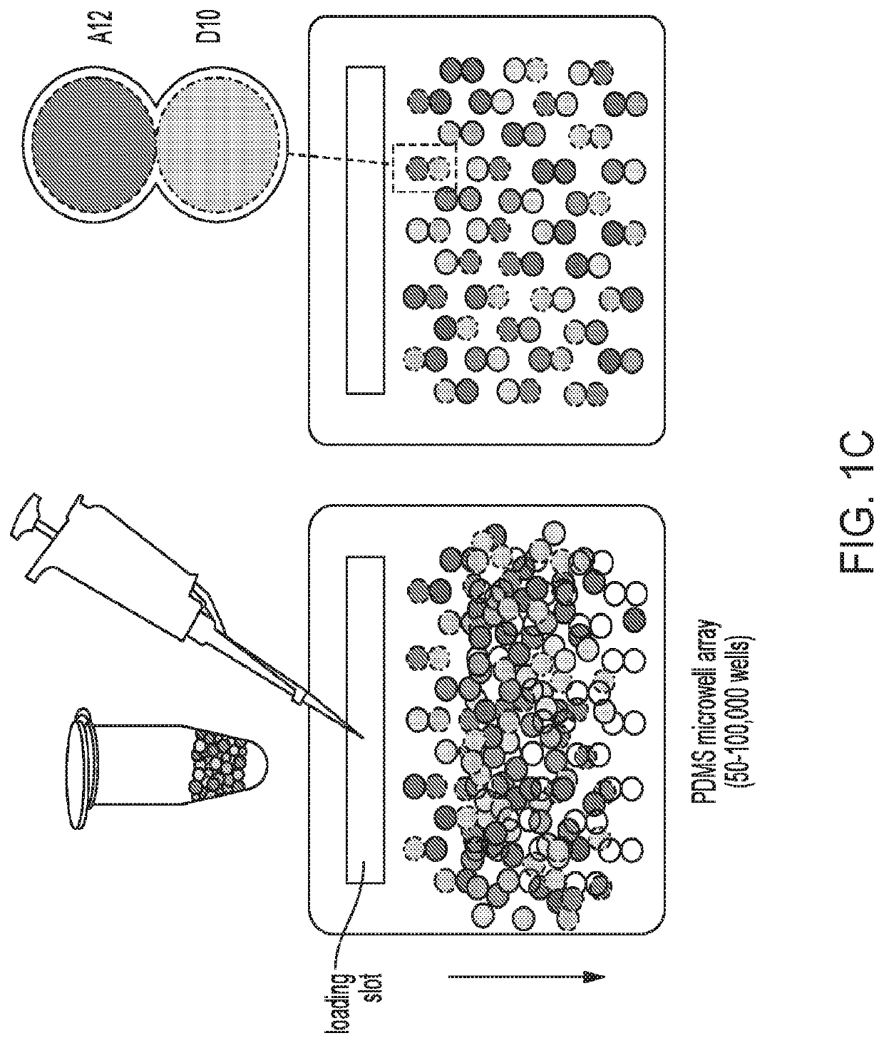 Compositions and methods for combinatorial drug discovery in nanoliter droplets