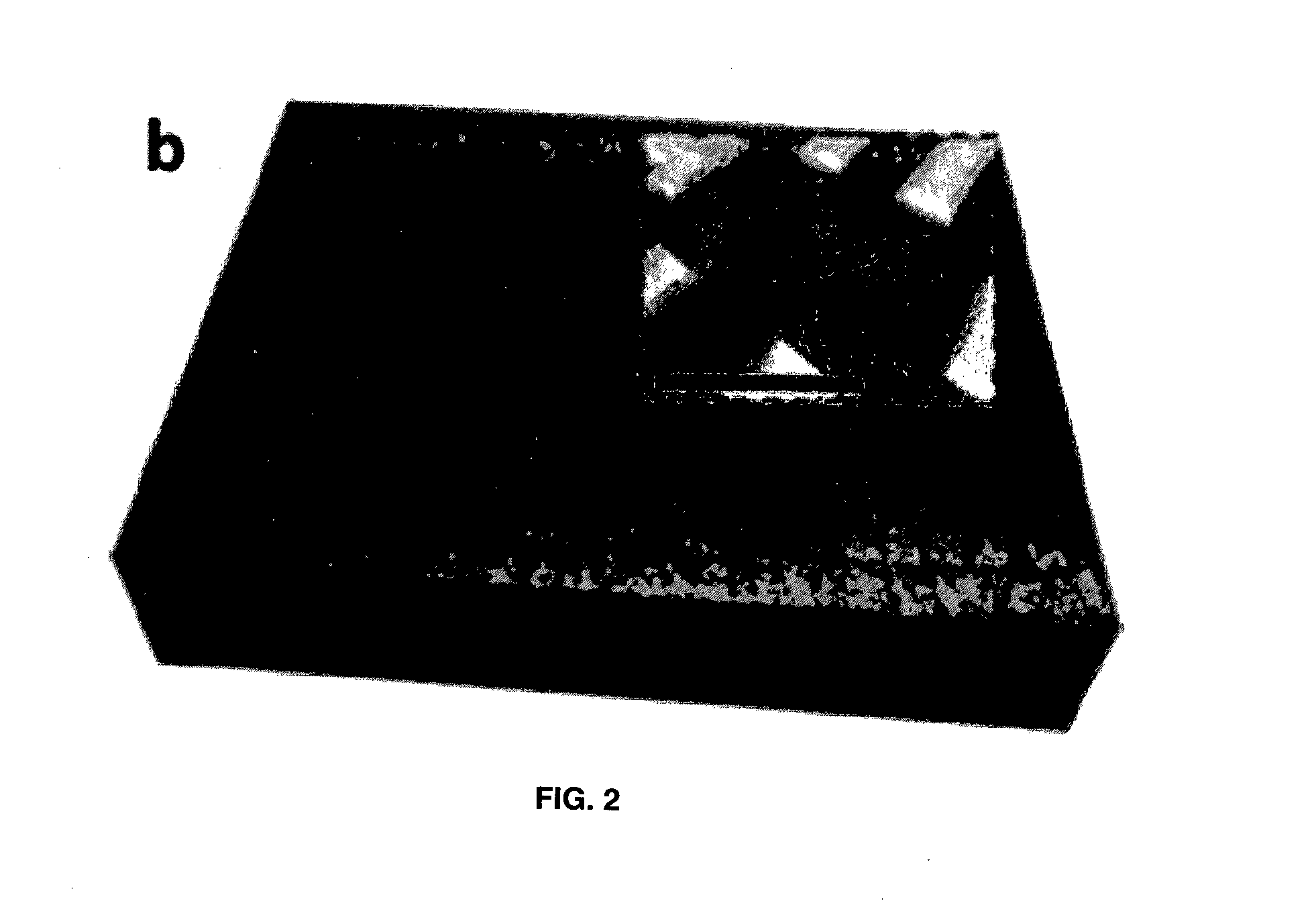 Graphene Ferroelectric Device and Opto-Electronic Control of Graphene Ferroelectric Memory Device