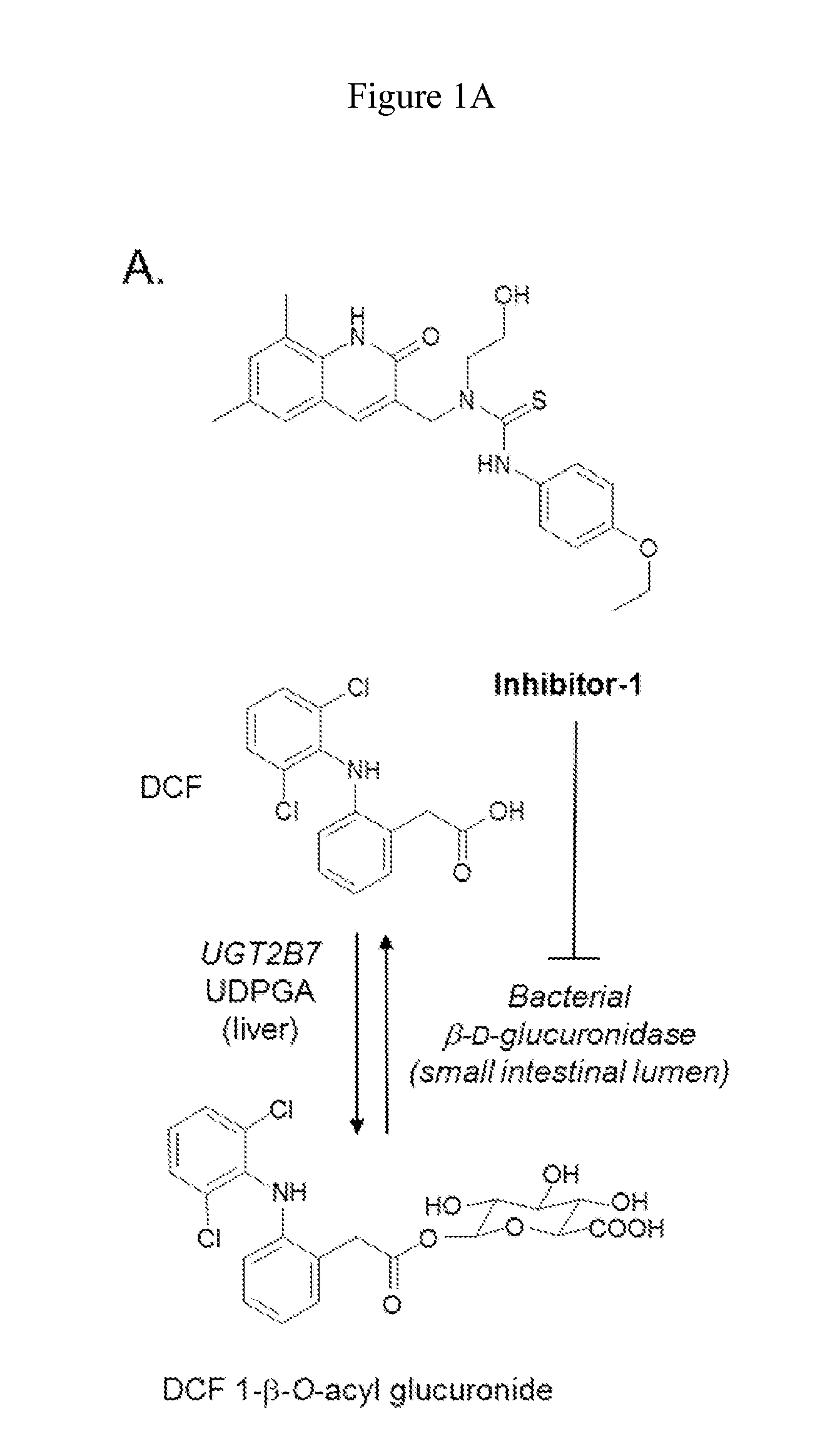 Methods of Treating Adverse Intestinal Effects of Non-Steroidal Anti-Inflammatory Drugs