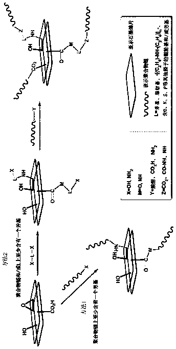 Polymer functional graphene and preparation method and application thereof