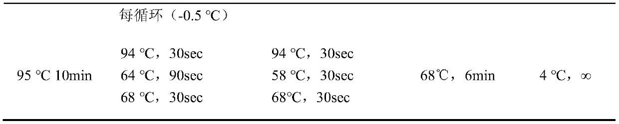 Primer, kit and method for detecting PAH gene mutation