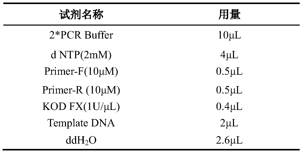 Primer, kit and method for detecting PAH gene mutation