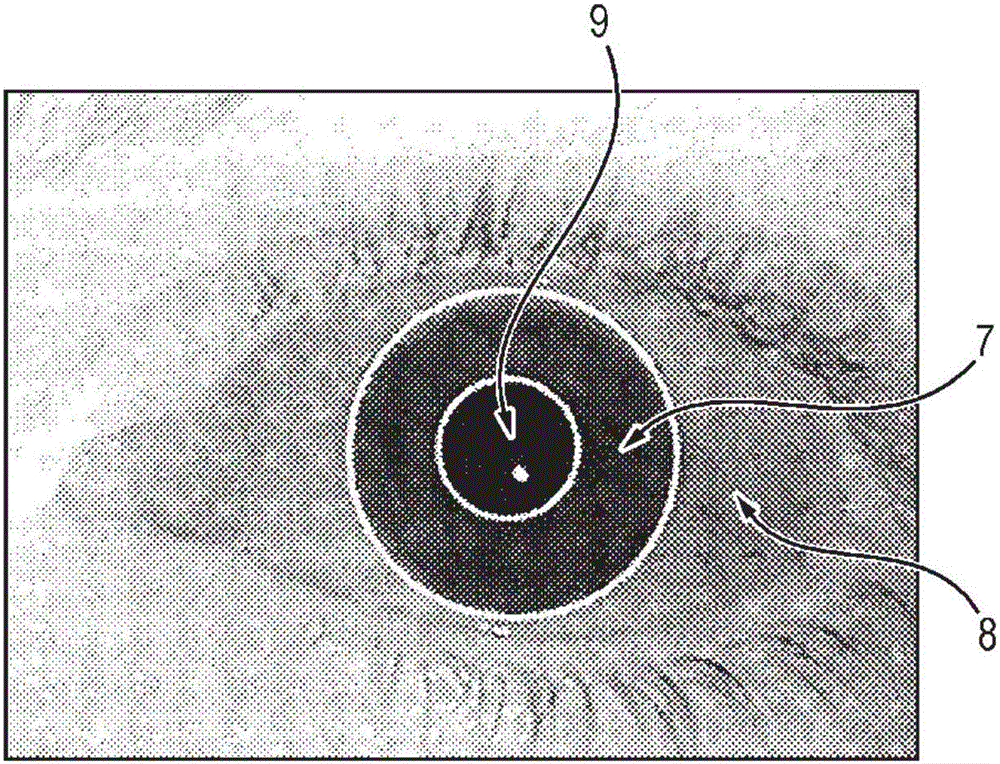 Method for identifying or authenticating an individual by means of iris recognition