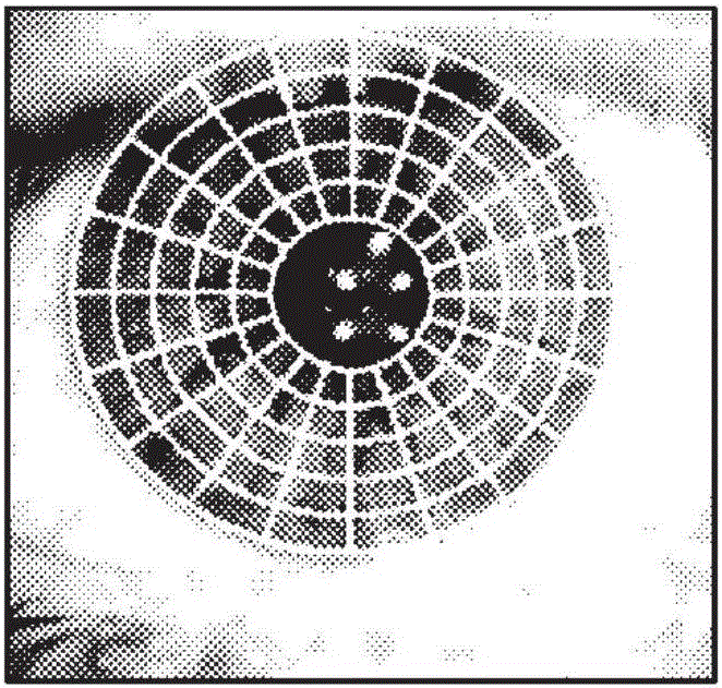 Method for identifying or authenticating an individual by means of iris recognition