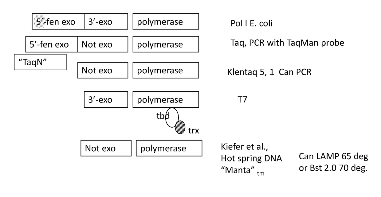 Mutant polymerases and uses thereof