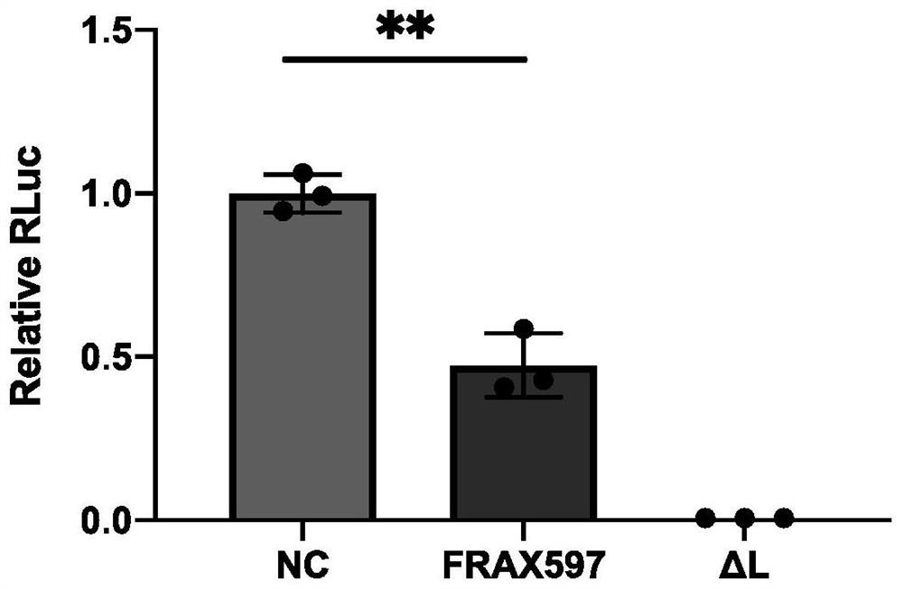 Application of FRAX597 compound in preparation of medicine for treating Ebola virus disease