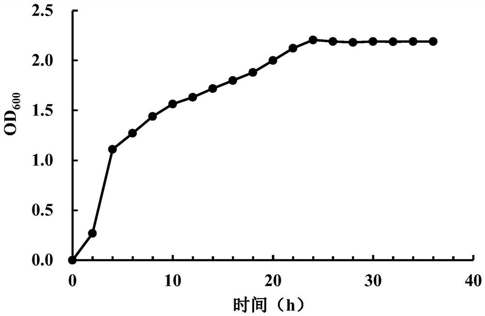 Bacillus subtilis and application thereof in fermentation treatment of flaxseed cake detoxification