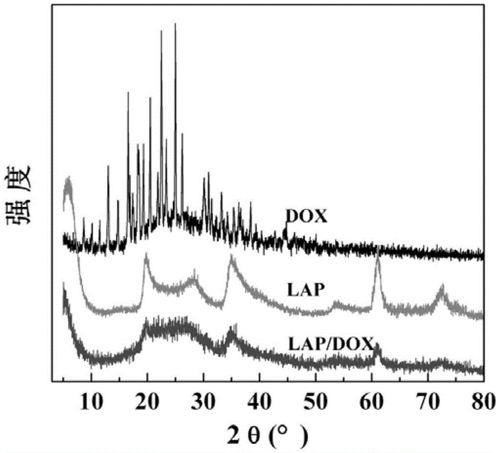 Method for loading doxorubicine (DOX) anti-cancer medicine by laponite (LAP) clay nanoparticles