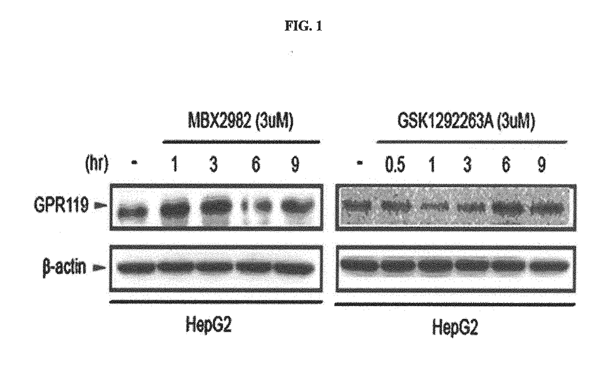 Pharmaceutical composition containing gpr119 ligand as effective ingredient for preventing or treating non-alcoholic steatohepatitis