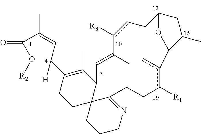 Use of gymnodimine, analogues and derivatives for the treatment and/or prevention of neurodegenerative diseases associated with tau and b-amyloid