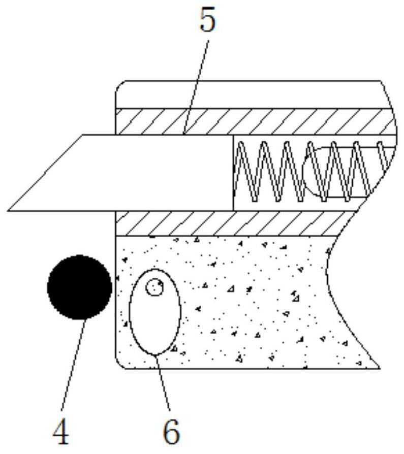 Direct drinking water conveying device capable of solving problems that water cannot be automatically added and cannot be quantitatively discharged