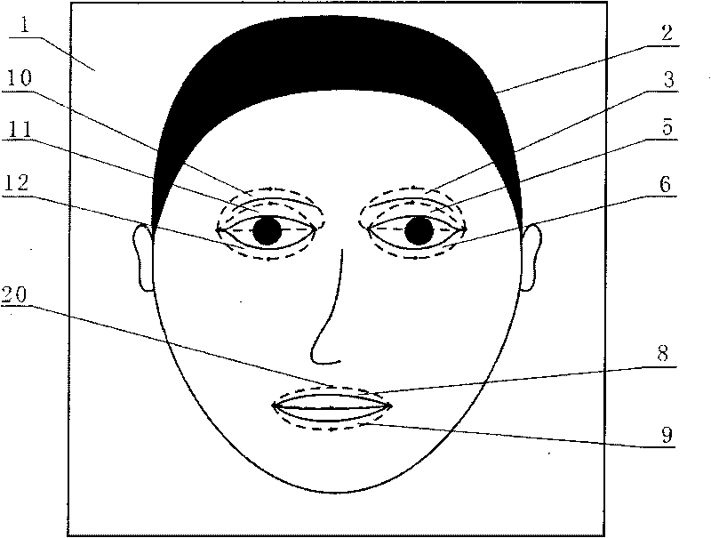 Manufacturing system and manufacturing method of human facial expressions