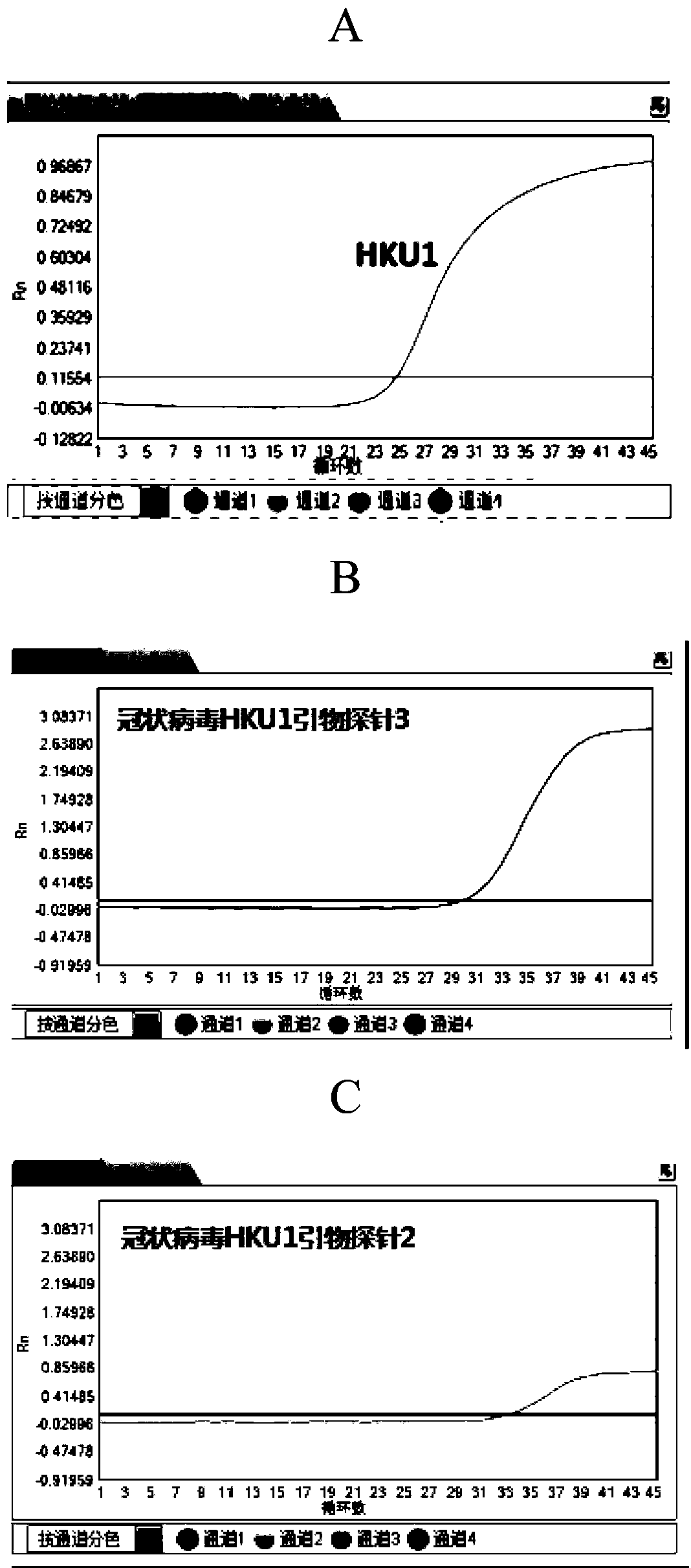 Composition, kit, method and application for detecting and typing coronavirus