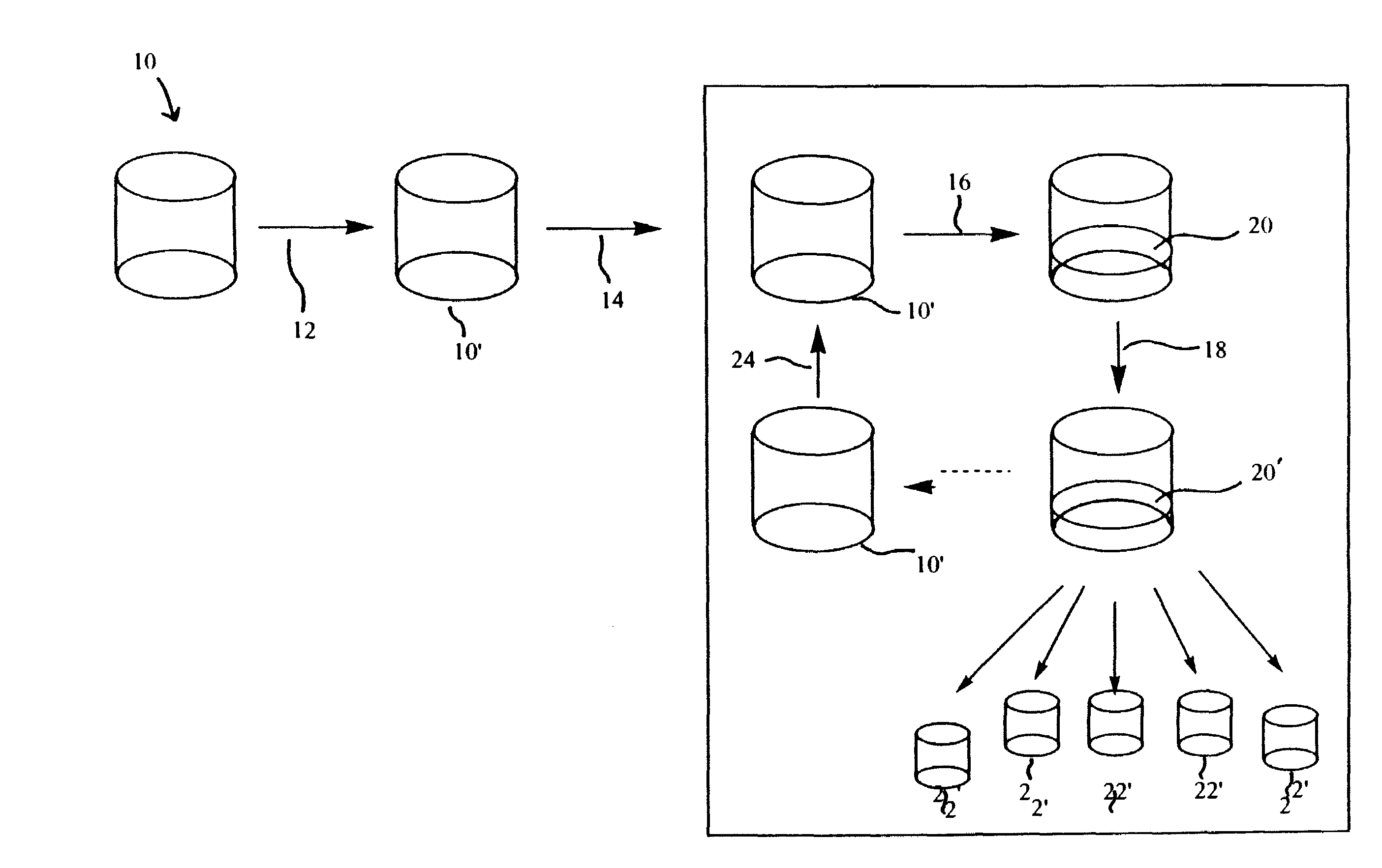 Methods for multiplexing amplification reactions