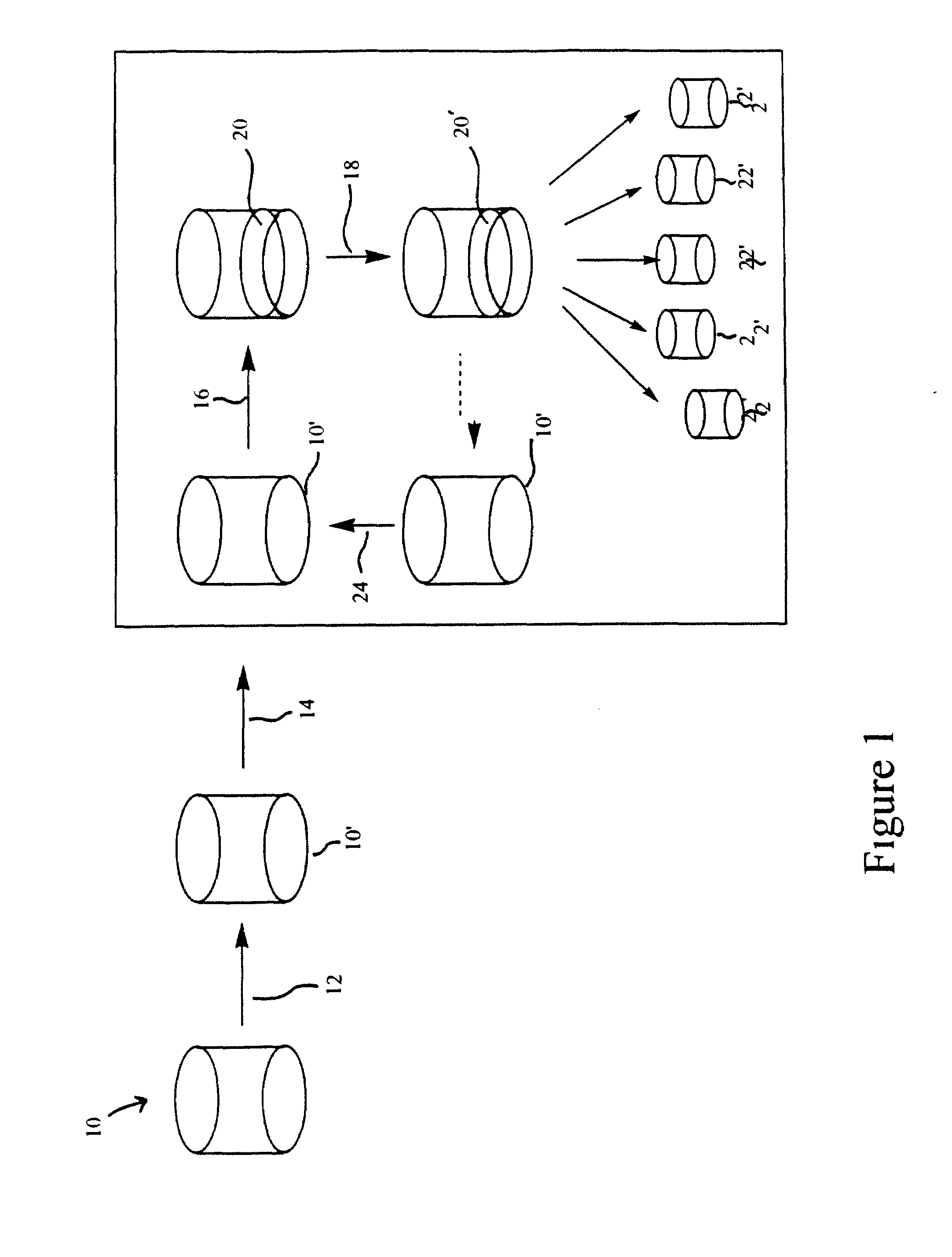 Methods for multiplexing amplification reactions