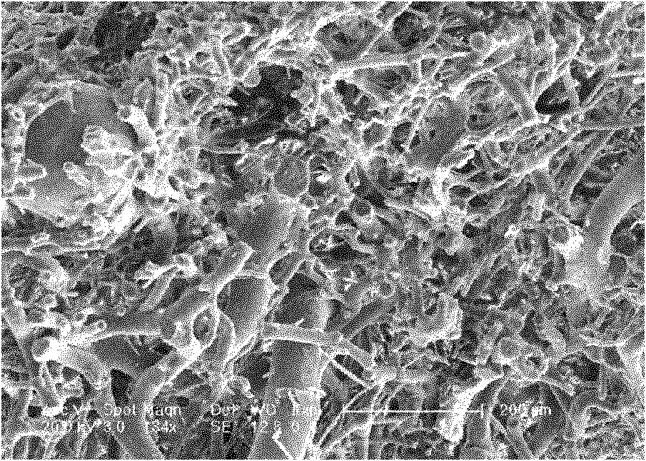 Method for preparing tissue engineering frame