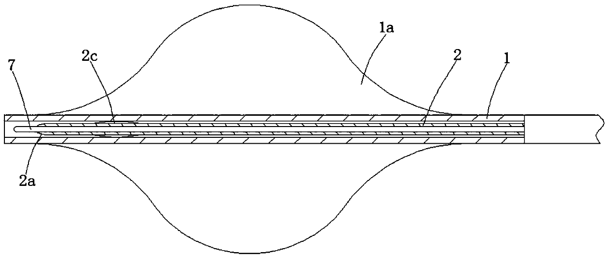 Aortic stent windowing system