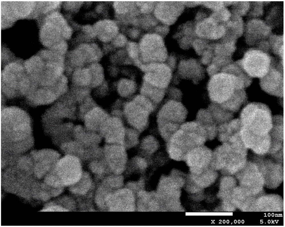 Liquid-liquid two-phase method for preparing nano cobalt powder