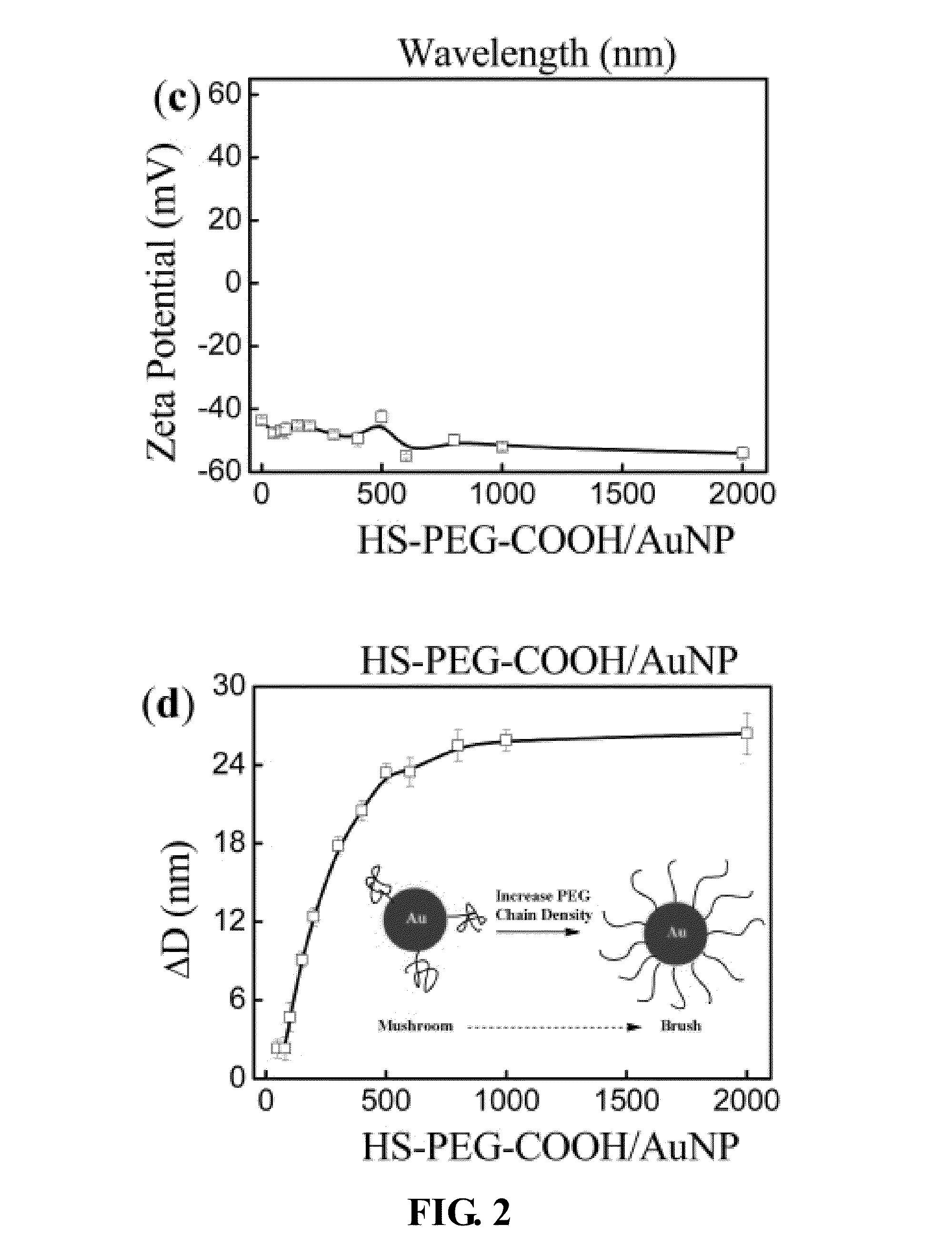 Conjugated gold nanoparticles