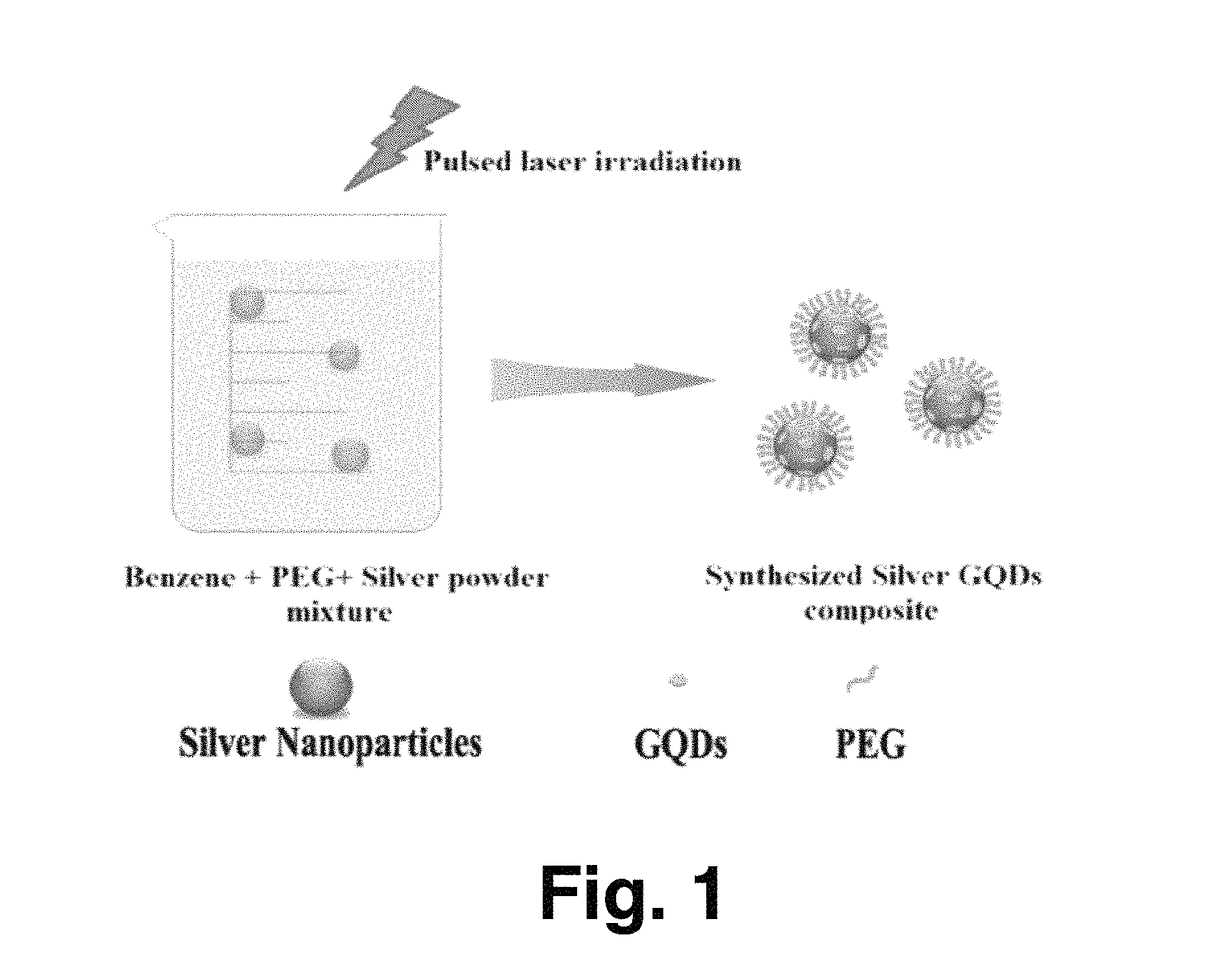 Antibacterial activity of silver-graphene quantum dots nanocomposites against gram-positive and gram-negative bacteria