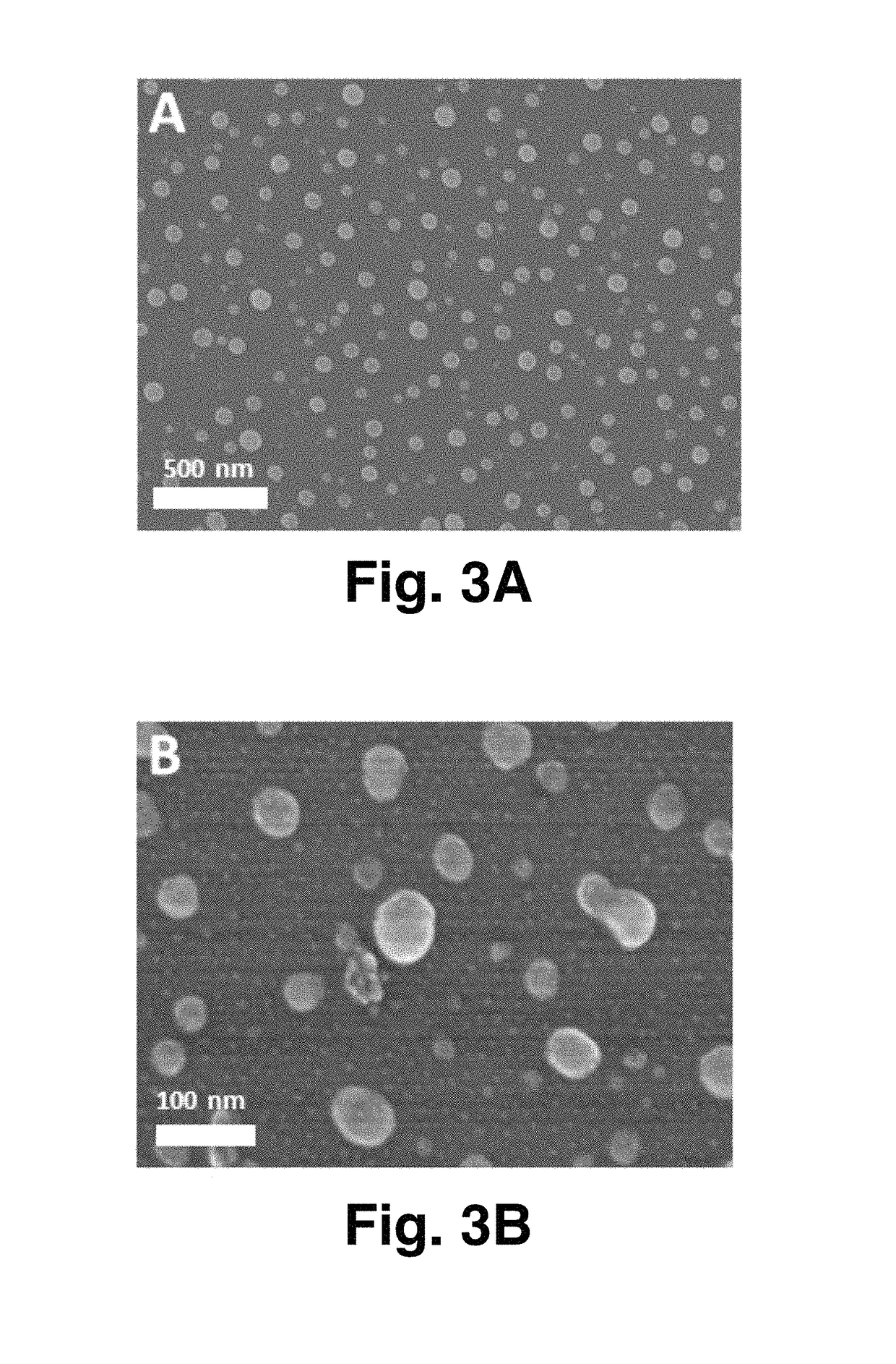 Antibacterial activity of silver-graphene quantum dots nanocomposites against gram-positive and gram-negative bacteria