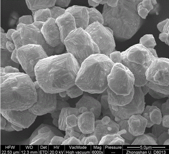 Single-phase CaFe2O4 micro-nano hierarchy material with surface texture and preparation method thereof