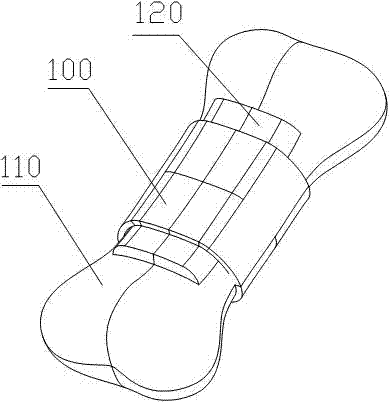 Pet food and preparation method thereof