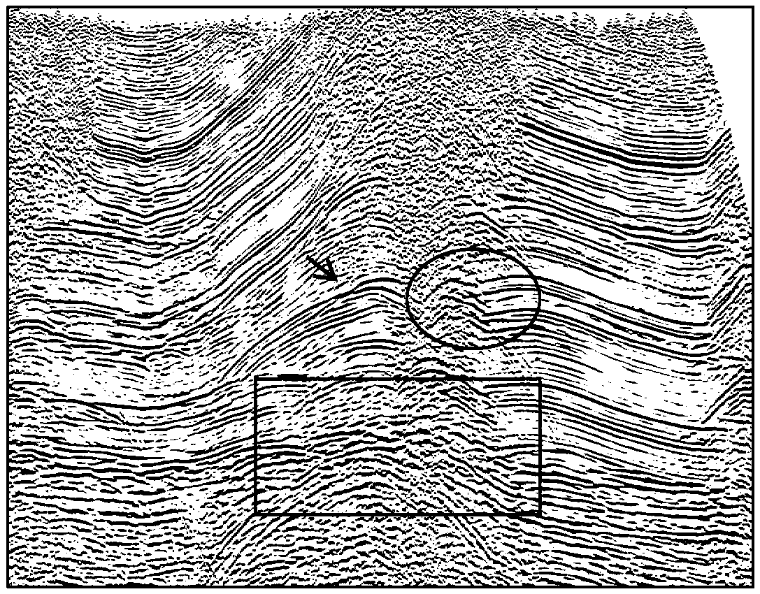A Prestack Seismic Imaging Method Based on True Surface