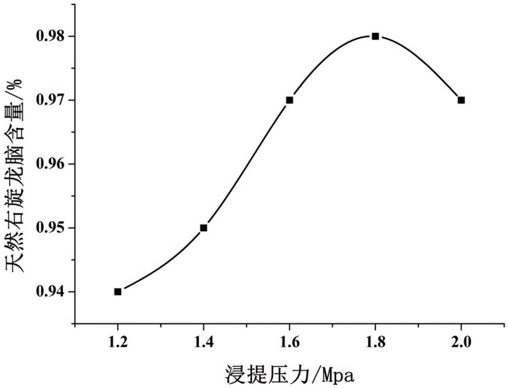 Plum leaf extract and plum leaf green tea beverage and preparation method