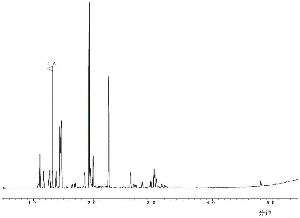 Plum leaf extract and plum leaf green tea beverage and preparation method