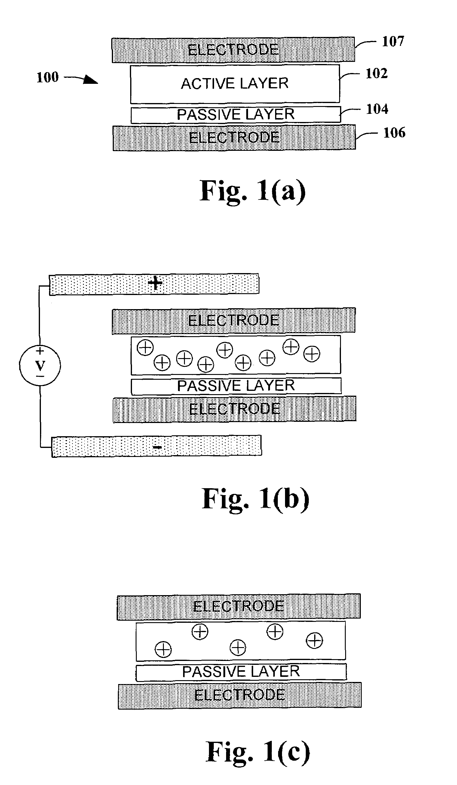 Polymer memory cell operation