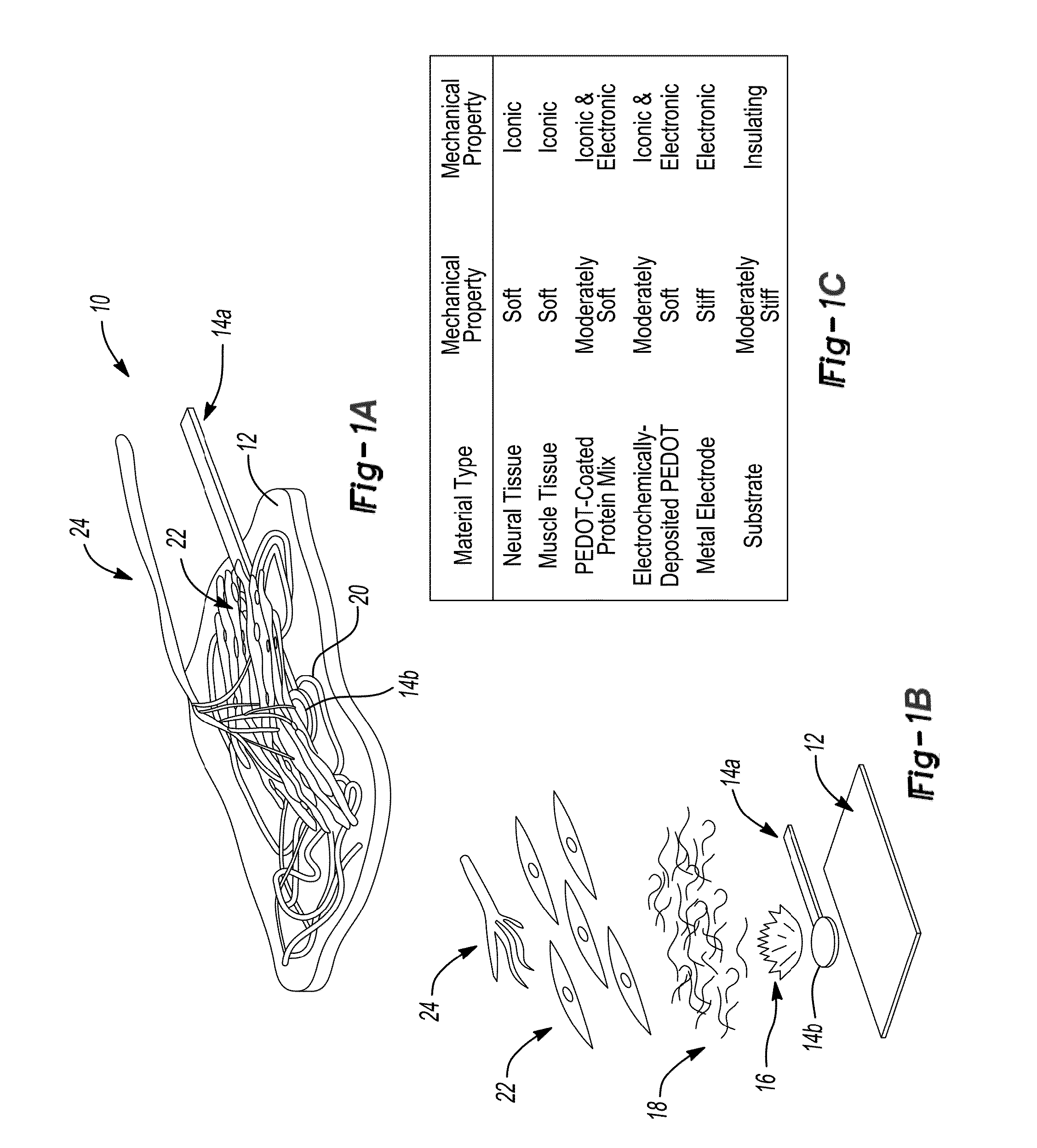 Peripheral nerve interface devices for treatment and prevention of neuromas