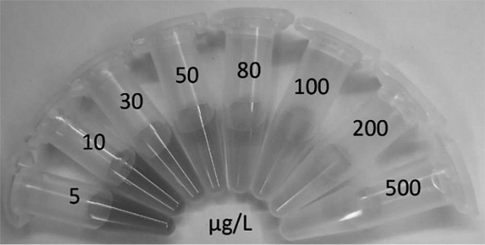 Method for applying porous Co3O4 peroxidase to rapid colorimetric detection of glyphosate