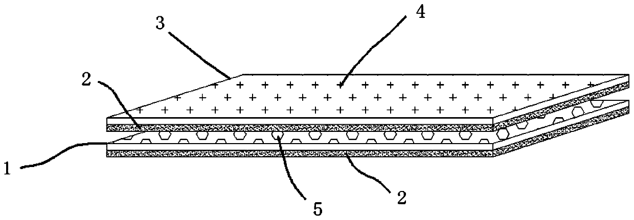 Microbial bacterial manure for preventing and controlling nematode