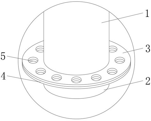 Warp breakage prevention structure for rapier loom