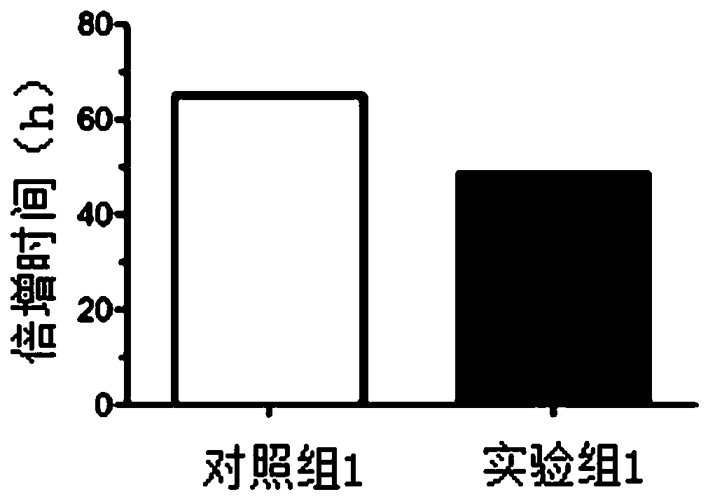 Cell culture solution and application thereof