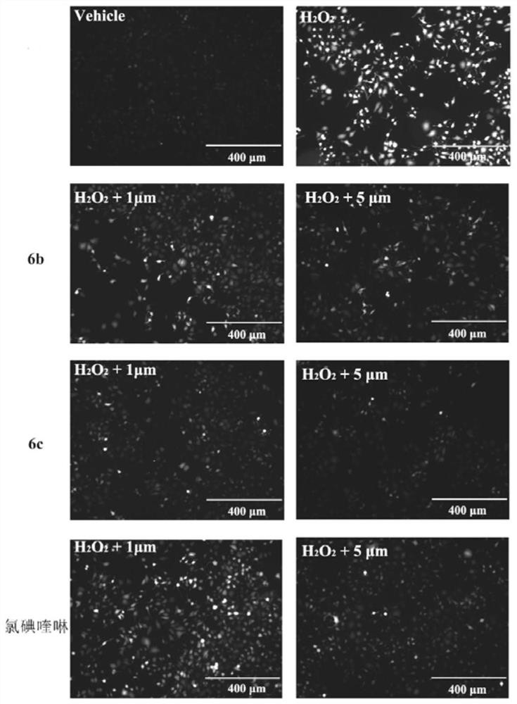 Quinoline tryptamine heterozygote and application thereof in preparation of medicines for treating Alzheimer's disease